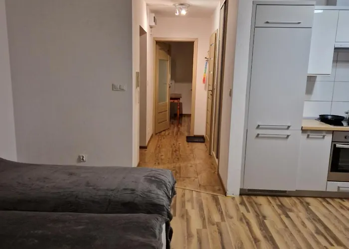 Sawago Komfortowe Mieszkanie Przy Szpitalu - Powstańców Wielkopolskich Apartament